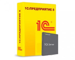 MS SQL Server 2014 Runtime на 1 рабочее место